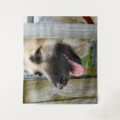 額入り タペストリー (正面)