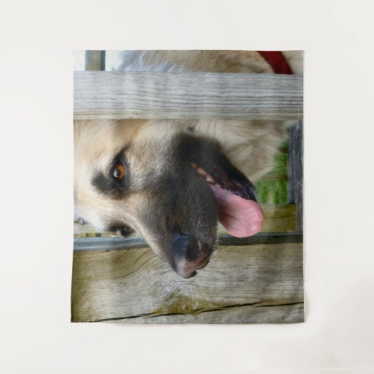 額入り タペストリー (正面)