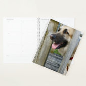 額入り プランナー手帳 (ディスプレー)