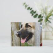 額入り ポストカード (スタンド正面)