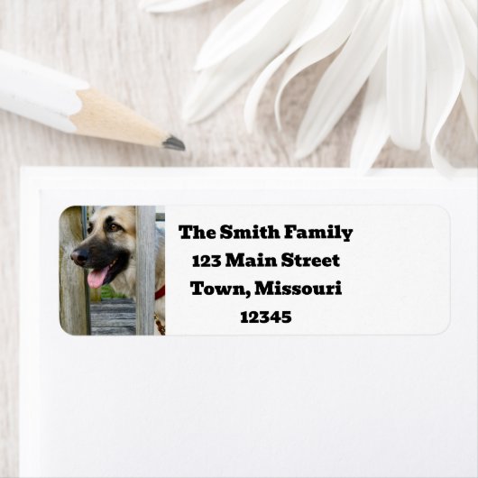 額入り ラベル (インサイチュ)