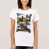 額縁の馬 Tシャツ (正面)