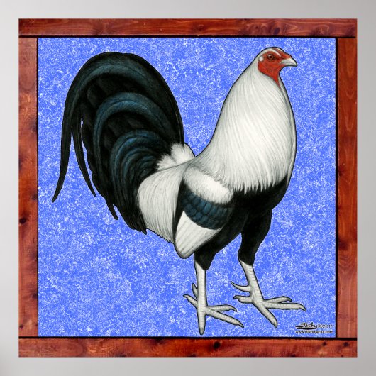 額縁ガメコック ポスター (正面)