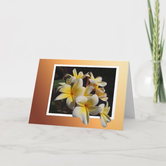 額縁パルメリア カード (正面)