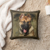 額縁1+1ペットフォト記念金ゴールド/ブラウンダマスク –  クッション (ブランケット)