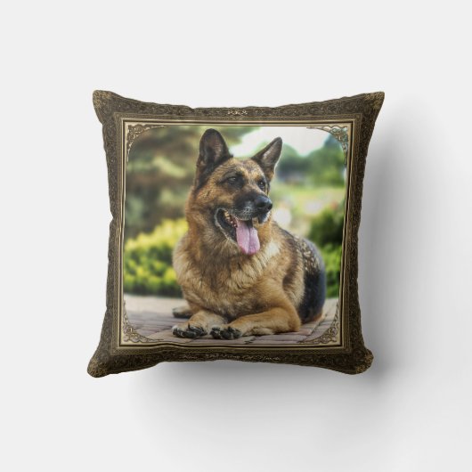 額縁1+1ペットフォト記念金ゴールド/ブラウンダマスク – クッション (裏面)