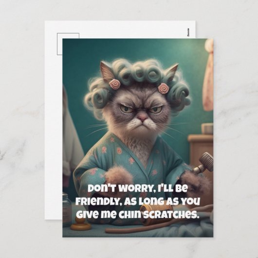 "顎の傷をお願い" おもしろい猫好き シーズンポストカード (正面/裏面)