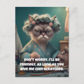 "顎の傷をお願い" おもしろい猫好き シーズンポストカード (正面)