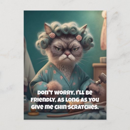 "顎の傷をお願い" おもしろい猫好き シーズンポストカード (正面)