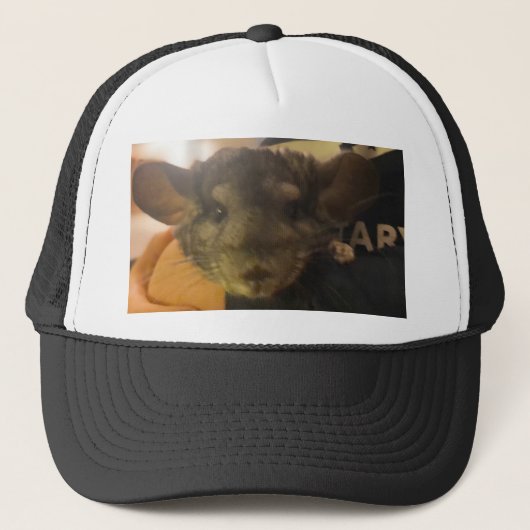 顎の帽子 キャップ (正面)