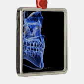 顎の骨 メタルオーナメント (右)