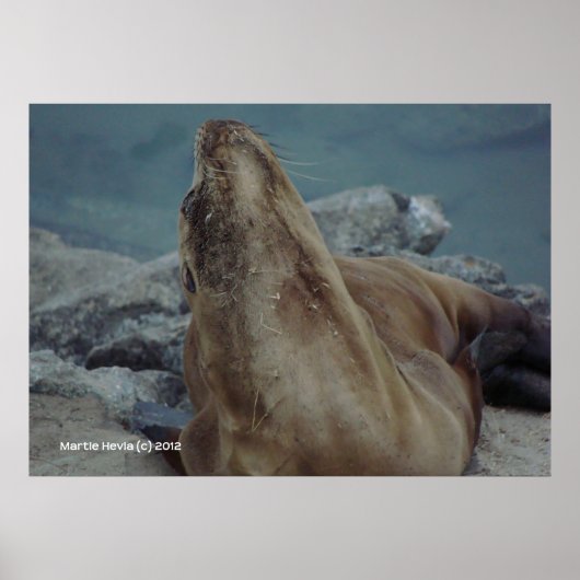 顎を上げる ポスター (正面)