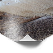 顎歯菌類 フォトプリント            (角)