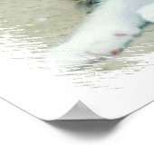 顔おもしろいの子猫 ポスター (角)