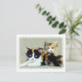 顔おもしろいの子猫 ポストカード (スタンド正面)