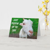 顔おもしろいベビーヤギ元気 カード (黄色い花)