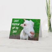 顔おもしろいベビーヤギ元気 カード (正面)