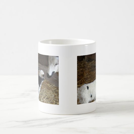 顔おもしろい子羊 コーヒーマグカップ (中央)