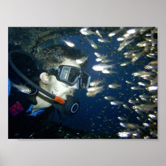 顔から顔 ポスター