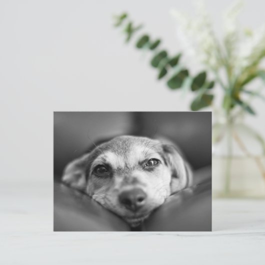 顔から顔 ポストカード (スタンド正面)