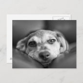 顔から顔 ポストカード (正面/裏面)