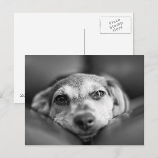 顔から顔 ポストカード (正面/裏面)