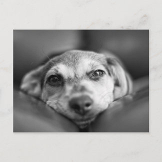 顔から顔 ポストカード