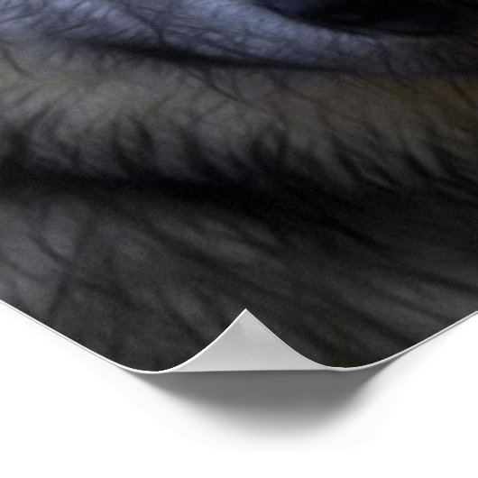 顔のオオカミ写真 ポスター (角)