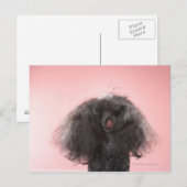 顔の前に髪を持ち、舌を出す犬 ポストカード (正面/裏面)