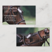 顔の名刺の白のアラビアの馬 名刺 (正面/裏面)