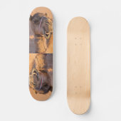 顔の表情おもしろいのラクダ – オマーン スケートボード (正面)