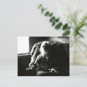 "顔は常に太陽に"ミックル通りカムデン ポストカード (スタンド正面)