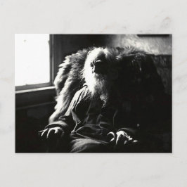 "顔は常に太陽に"ミックル通りカムデン ポストカード