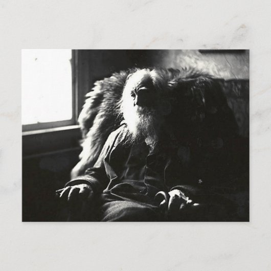 "顔は常に太陽に"ミックル通りカムデン ポストカード (正面)