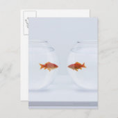 顔をに見る別のfishbowlsの金魚 ポストカード (正面/裏面)
