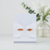 顔をに見る別のfishbowlsの金魚 ポストカード (スタンド正面)