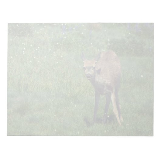 顔を作る ノートパッド (正面)