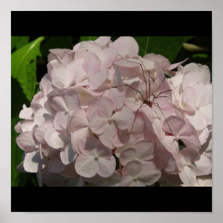 顔を赤くさせる花嫁とパパの長い脚 ポスター