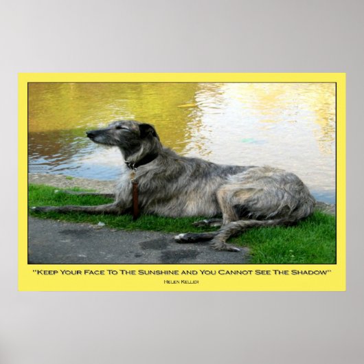 顔ザサンシャインプリント ポスター (正面)