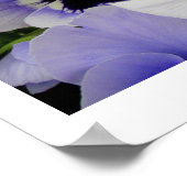 顔バイおもしろいリンダ・ベッカー ポスター (角)