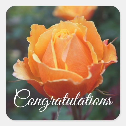 顔バラの#1シールについて スクエアシール (正面)