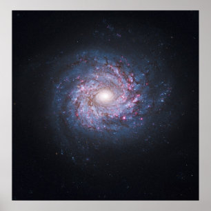 顔上スパイラル銀河系NGC 3982からハッブル ポスター