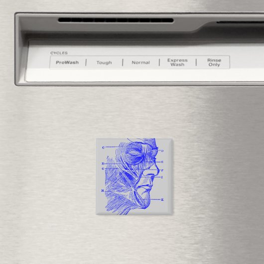 顔図 マグネット (インサイチュ (食洗機))