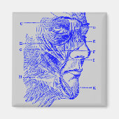 顔図 マグネット (正面)