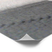 顔灰色の尾を持つ白犬の写真 ポスター (角)