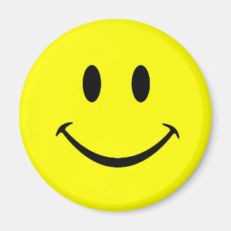 顔磁石 マグネット