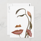 顔花錯覚 ポストカード (正面/裏面)