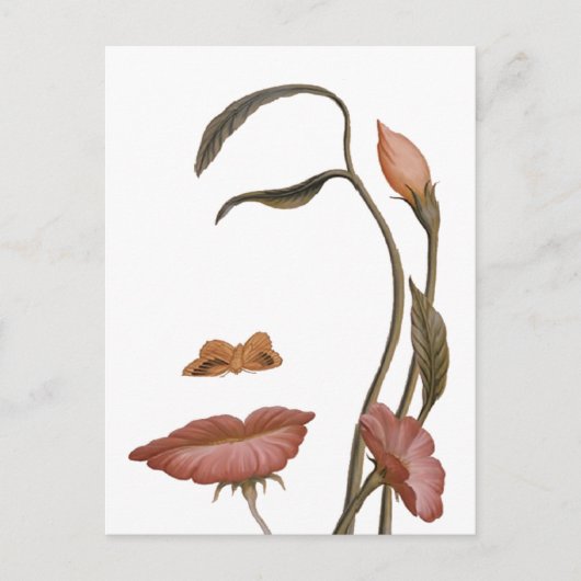 顔花錯覚 ポストカード (正面)