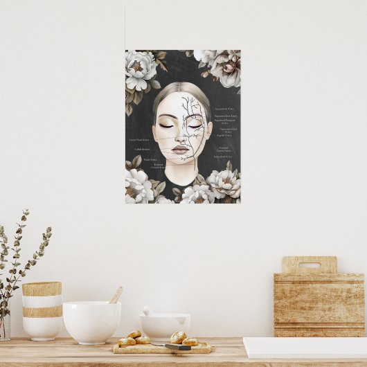 顔面血管顔解剖学 ポスター (キッチン)