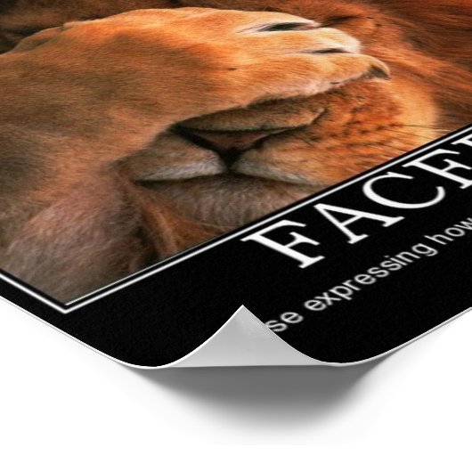 顔面 ポスター (角)